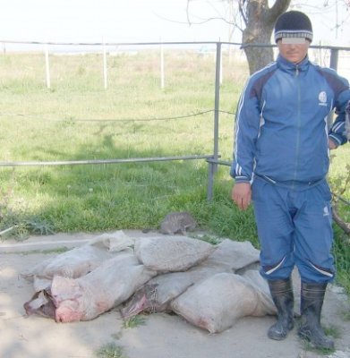 Braconieri prinşi de poliţiştii de frontieră